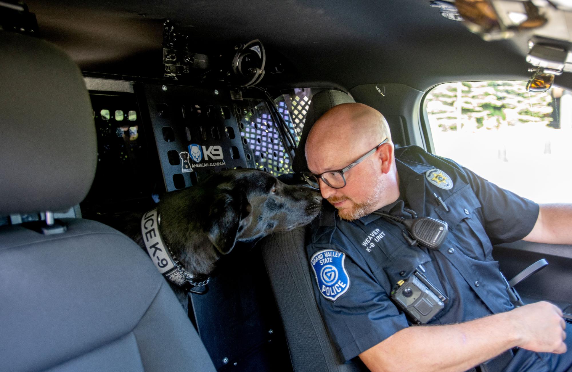 Police officer in driver's seat of police cruiser, turned and leaning back to look at a black Labrador police dog